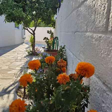 Captain's House Amarynthos